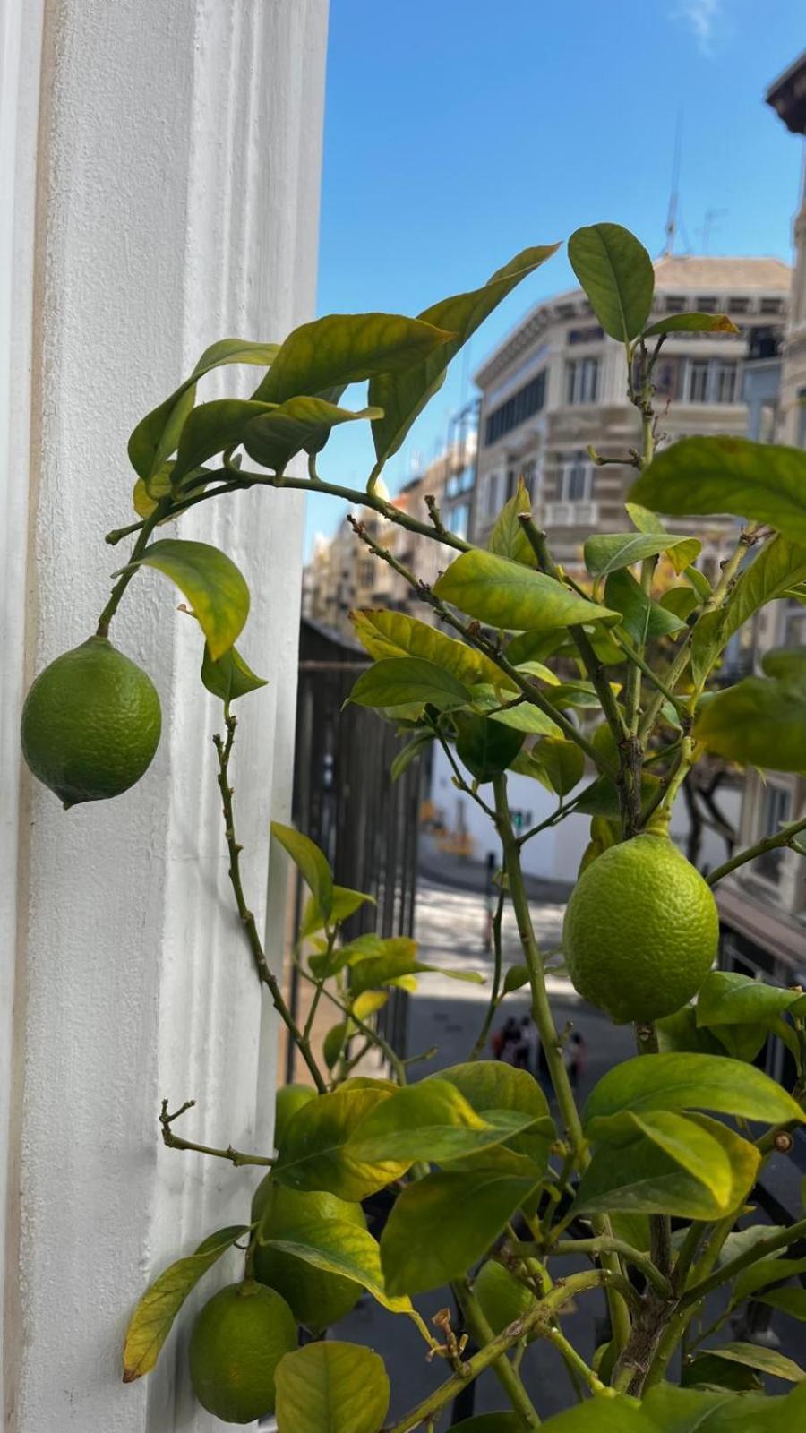 Hotel El Siglo バレンシア エクステリア 写真
